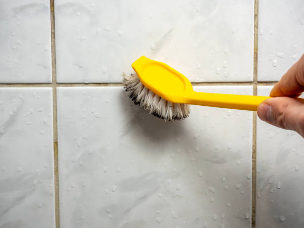 Reliable Marlton, MD Mold Removal Solutions