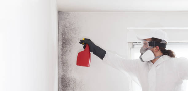 Best Black Mold Removal  in Marlton, MD