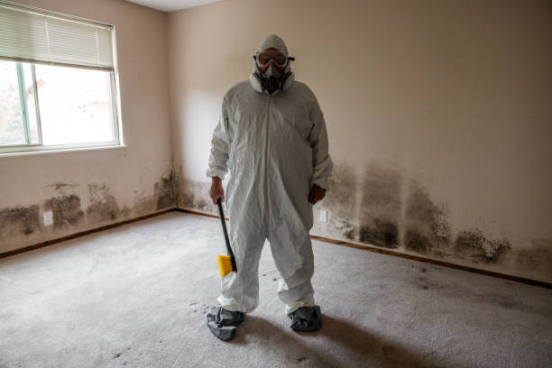 Best Toxic Mold Removal  in Marlton, MD